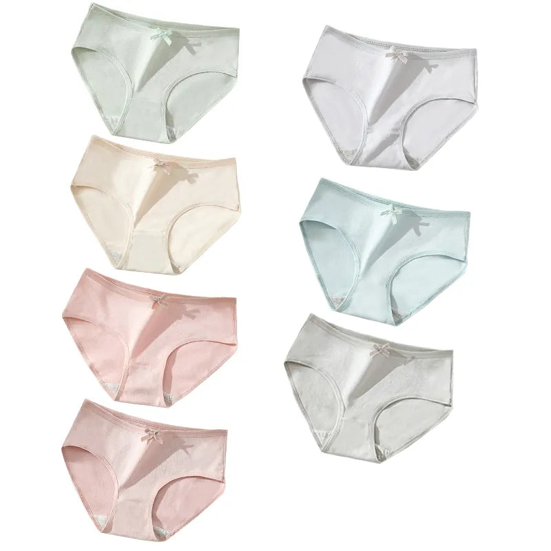 41707447713924|41707447746692|41707447779460|41707447812228