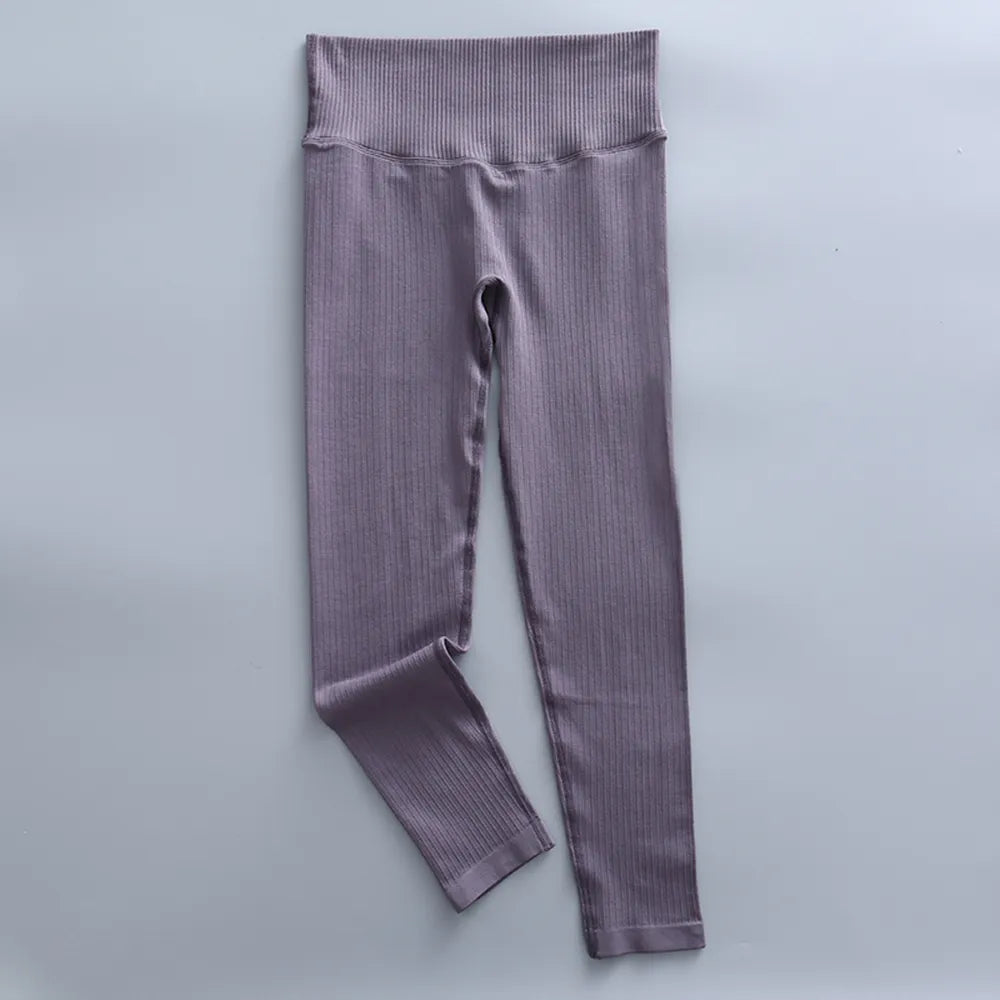 41706324099204|41706324131972|41706324164740