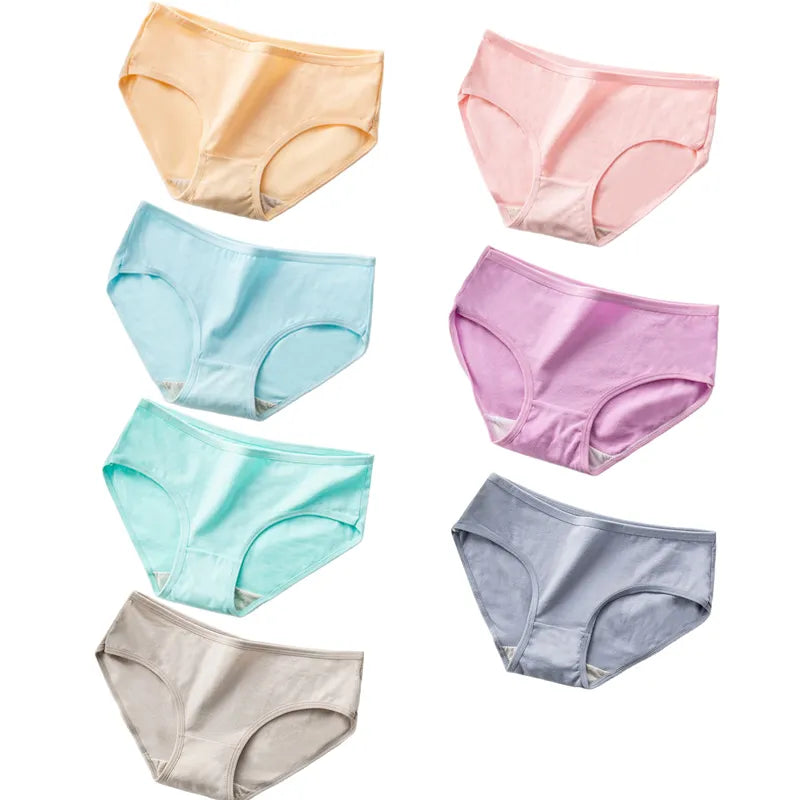 41707447582852|41707447615620|41707447648388|41707447681156