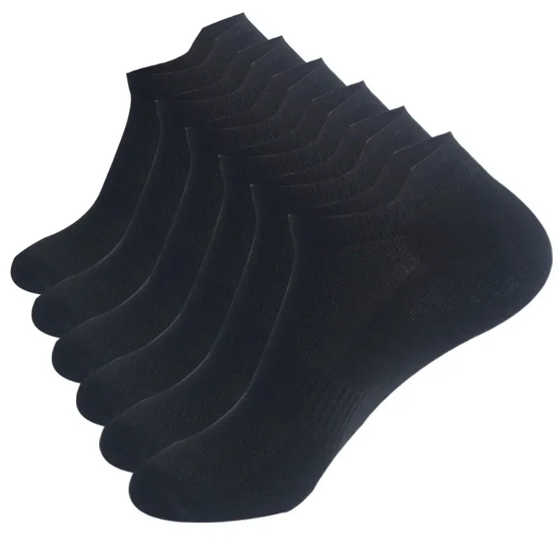 41714270240900|41714270273668|41714270306436