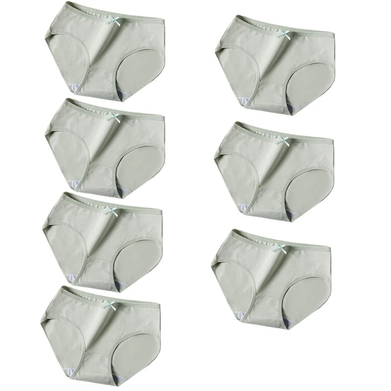 41707446927492|41707446960260|41707446993028|41707447025796