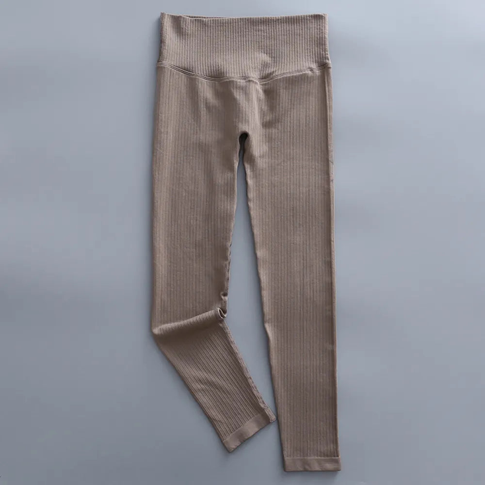 41706323607684|41706323640452|41706323673220